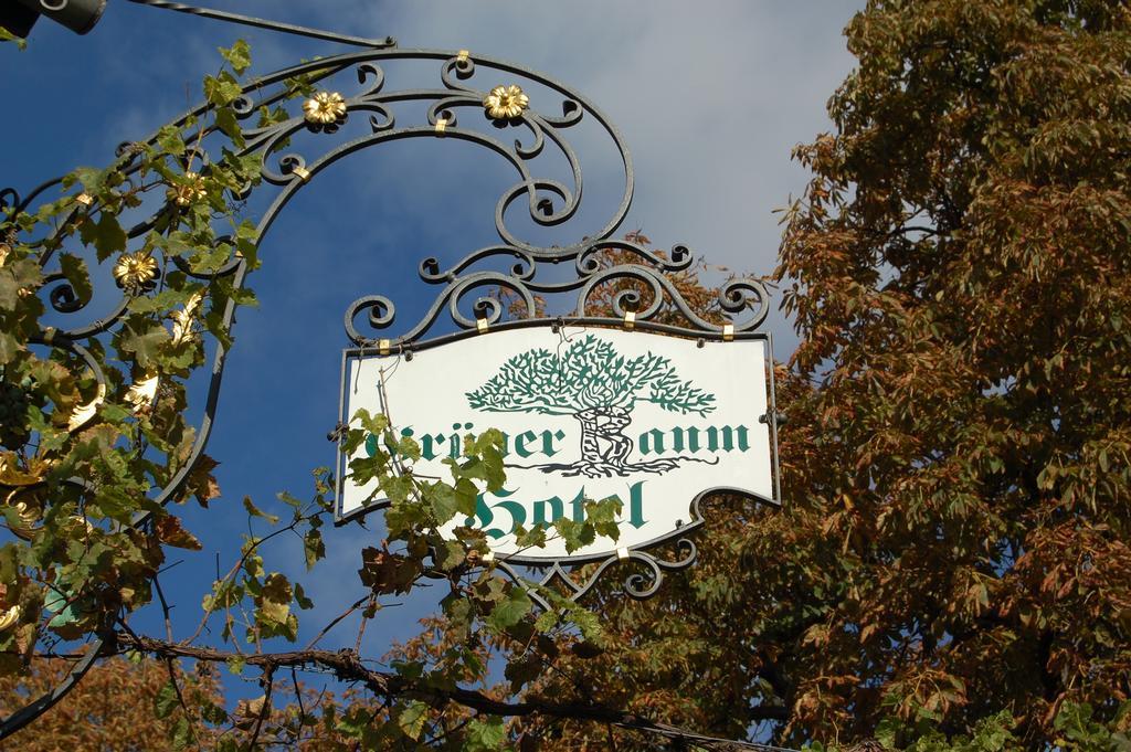 Hotel Gruener Baum Bretzenheim Exterior photo